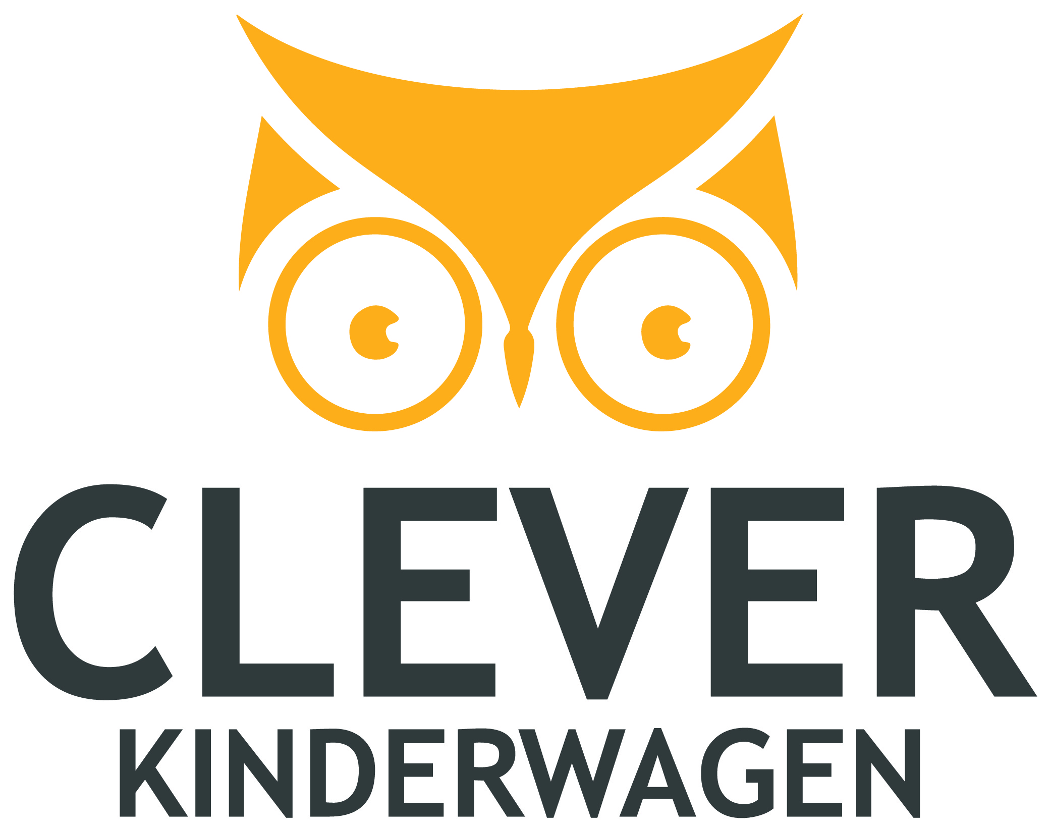 clever Kinderwagen-01 (4)